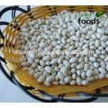 Chinese Navy Type Dry White Beans